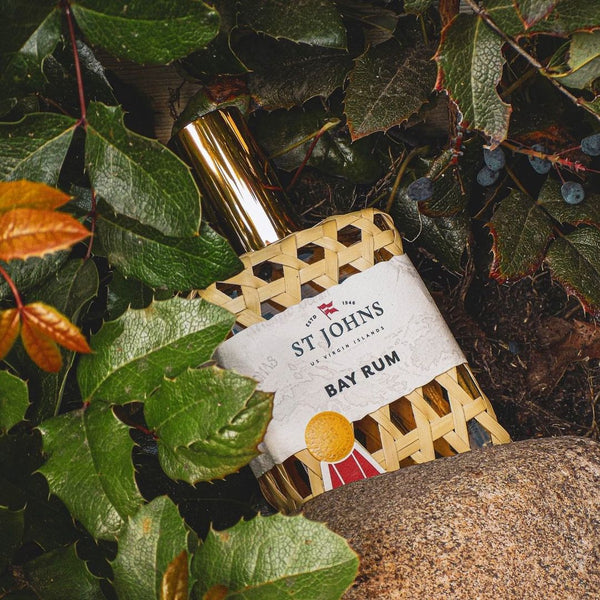 Smelling in Prem: Understanding the True Aromas Smelling in Prem: Understanding the True Aromas