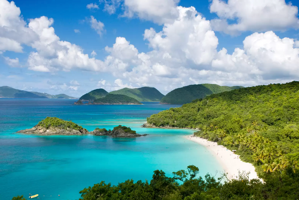 Vacation in a Bottle: The Art of St Johns Bay Rum Fragrance Vacation in a Bottle: The Art of St Johns Bay Rum Fragrance